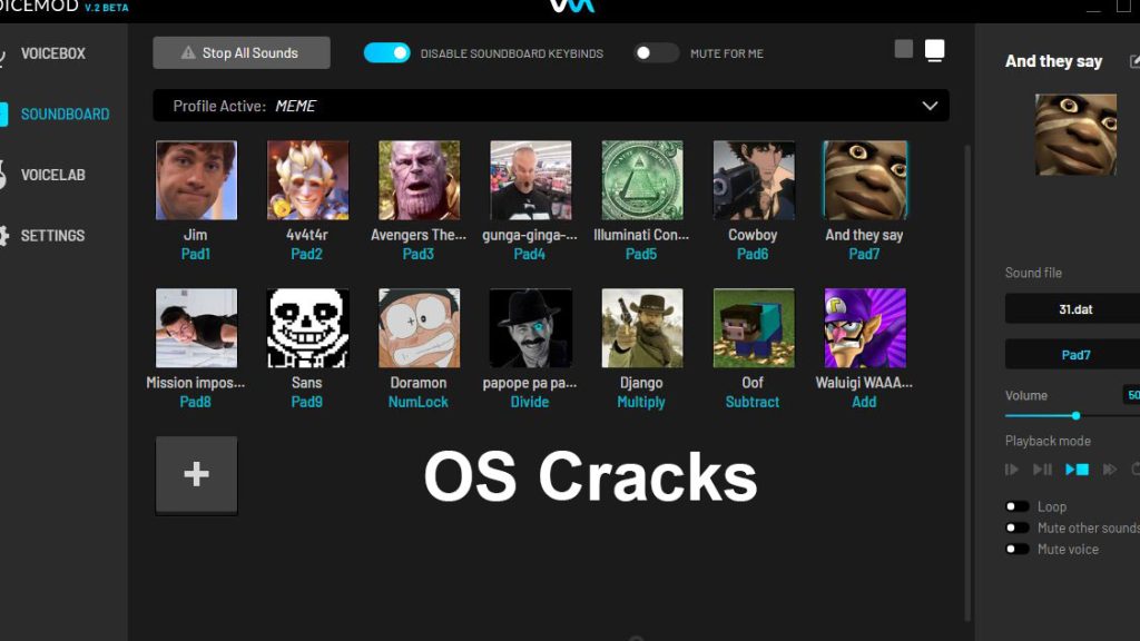 VoiceMod Pro Crack