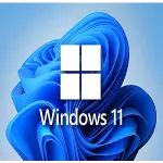 Feature image of Window-11-Crack
