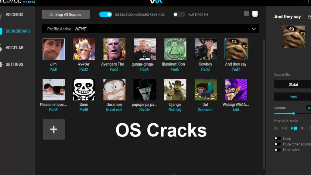 Screenshot of Voicemod-Pro-Crack